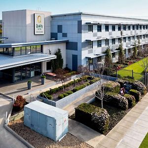 Quality Hotel Rules Club Wagga